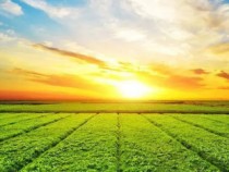 锦州亚星管理平台作物；び邢薰