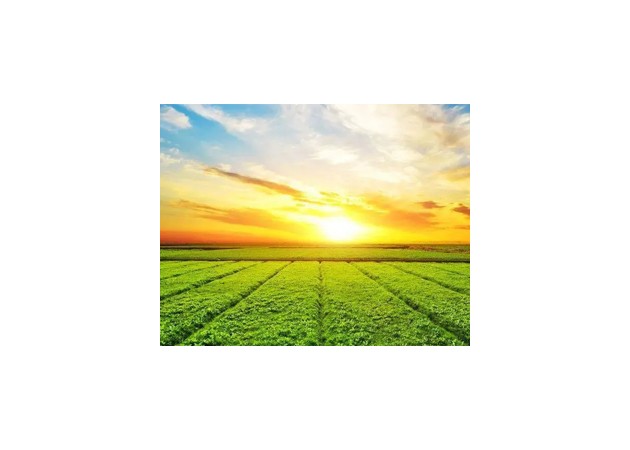 锦州亚星管理平台作物；び邢薰