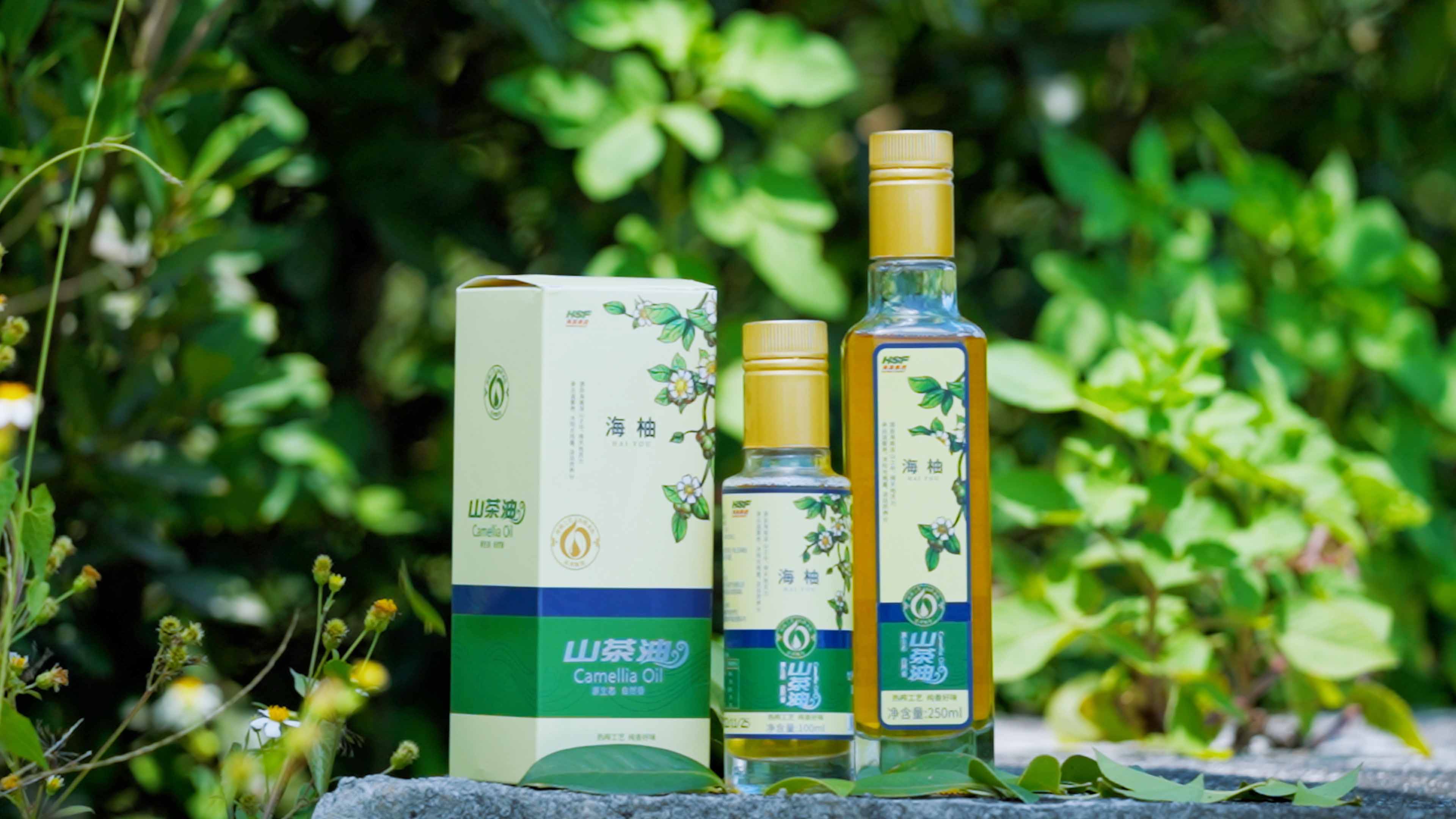 腾博官网诚信为本乐香山茶油