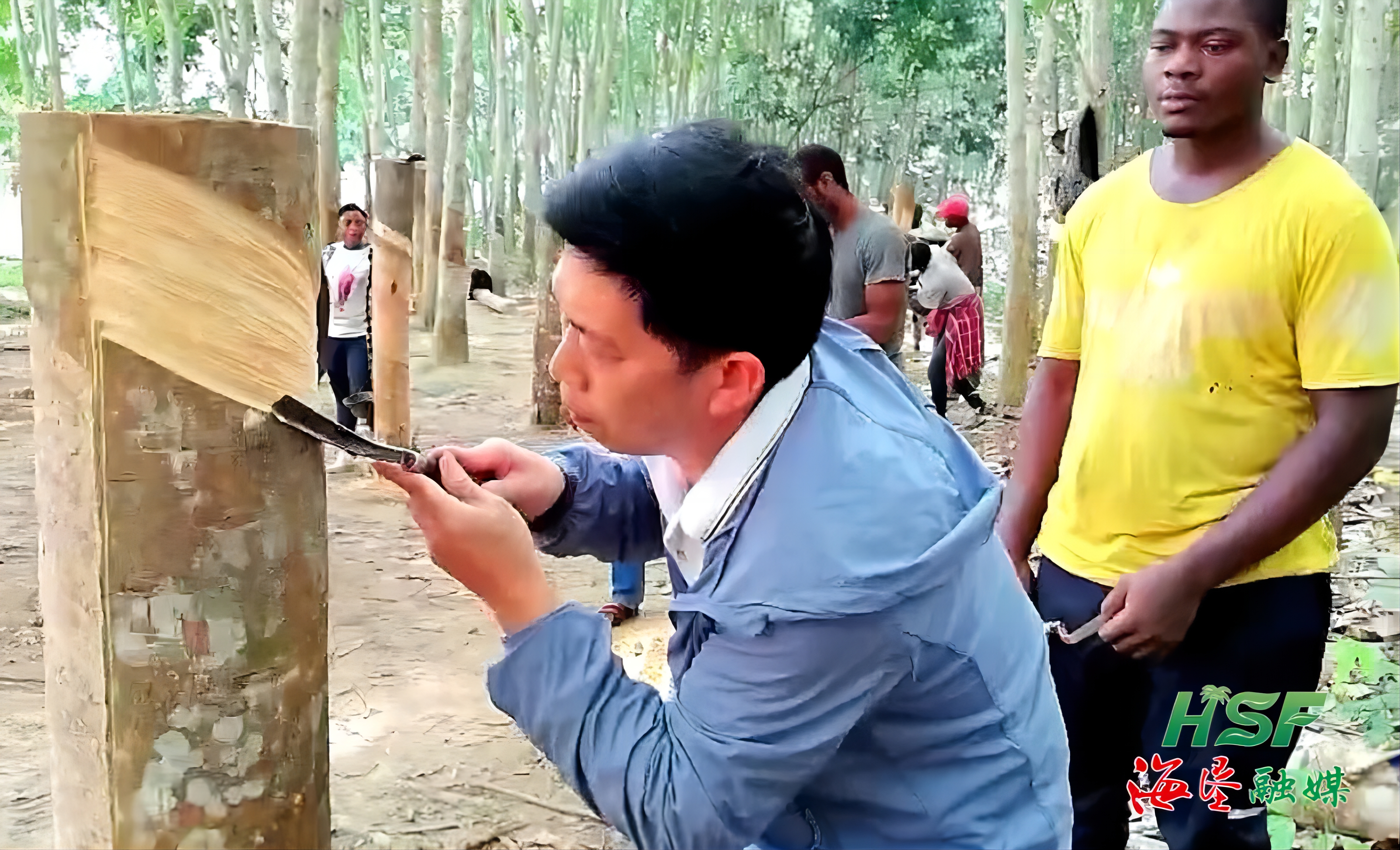 3d8bc6afa3dc46eda727badc1afc4e1a