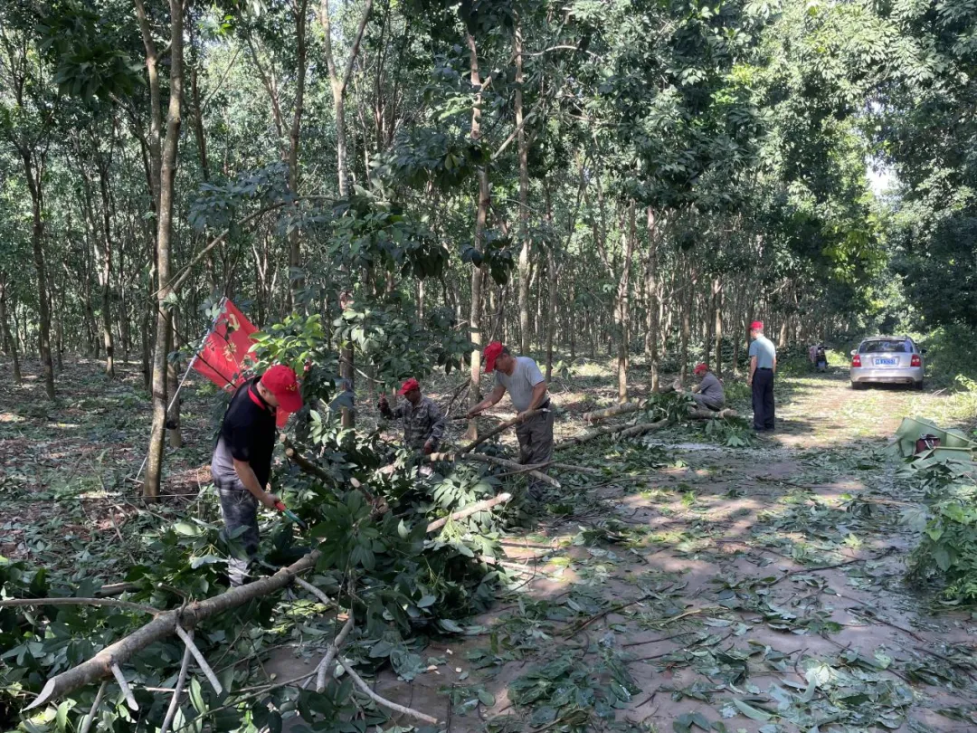 b461ed020968431faed0b3228a849432