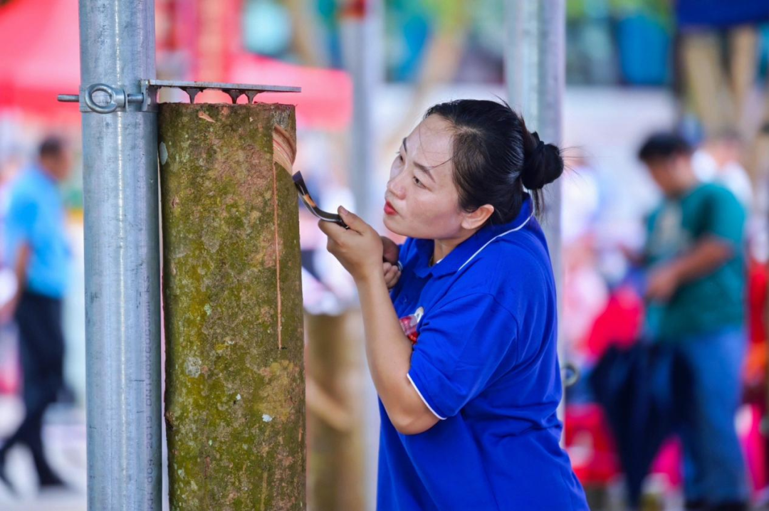 c40f200f29f34bf19acef2339b4241c4