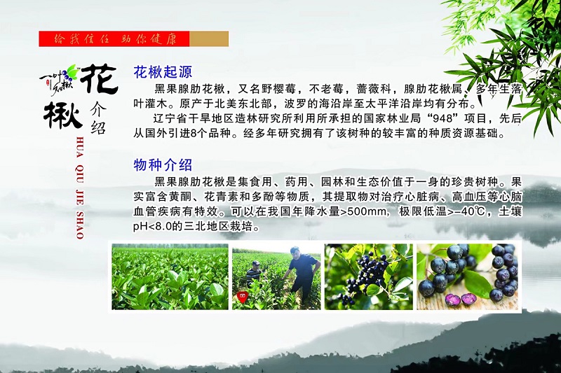 亚星治理平台(中国游)官方网站
