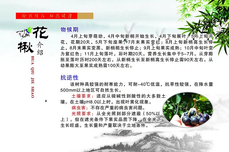 亚星治理平台(中国游)官方网站