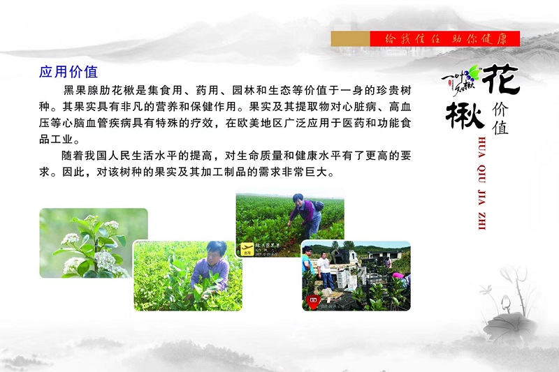 亚星治理平台(中国游)官方网站