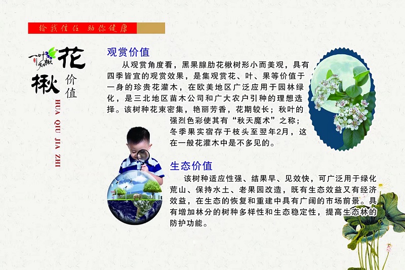 亚星治理平台(中国游)官方网站