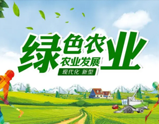 锦州亚星管理平台黑果科技有限公司