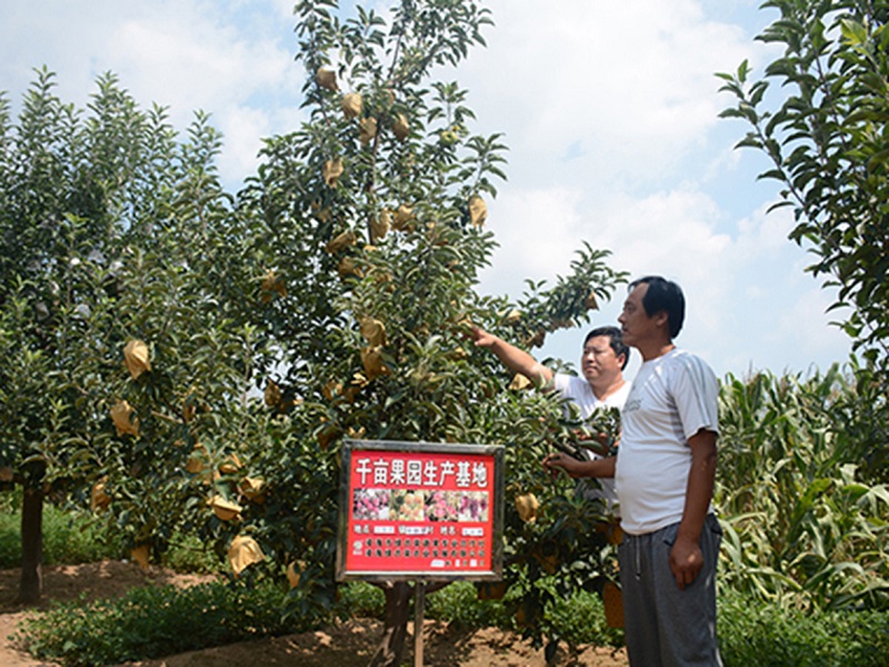 亚星治理平台(中国游)官方网站