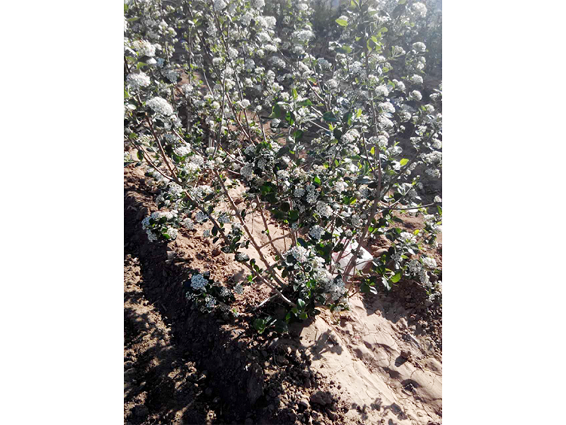 亚星治理平台(中国游)官方网站