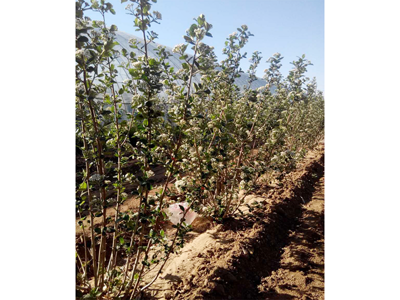 亚星治理平台(中国游)官方网站