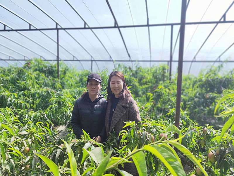 亚星治理平台(中国游)官方网站