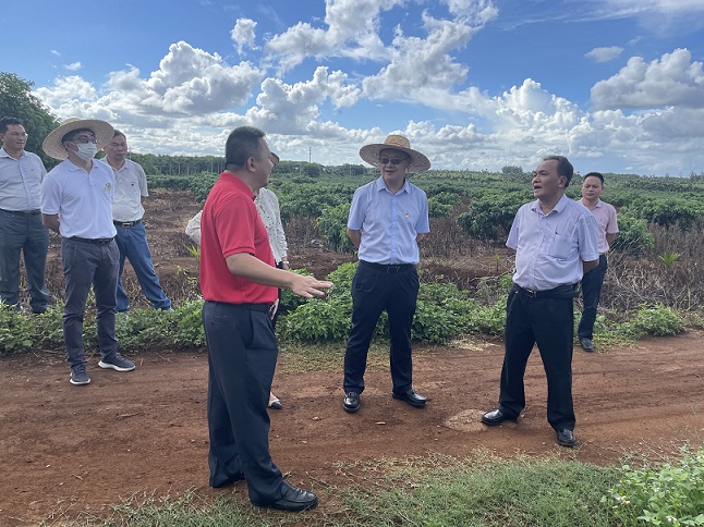 首页- 腾博官网诚信为本,专业服务!