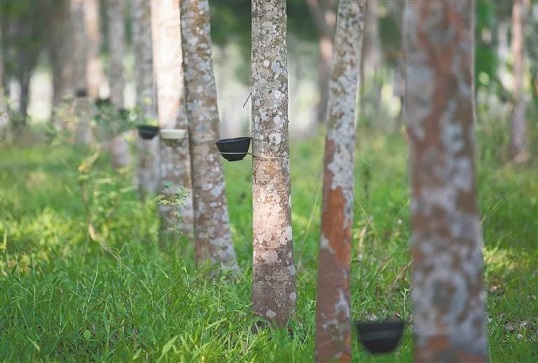 首页- 腾博官网诚信为本,专业服务!