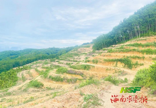 首页- 腾博官网诚信为本,专业服务!