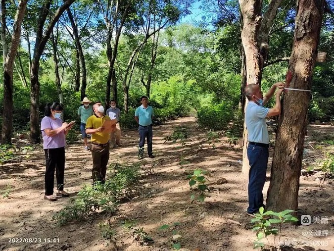 首页- 腾博官网诚信为本,专业服务!