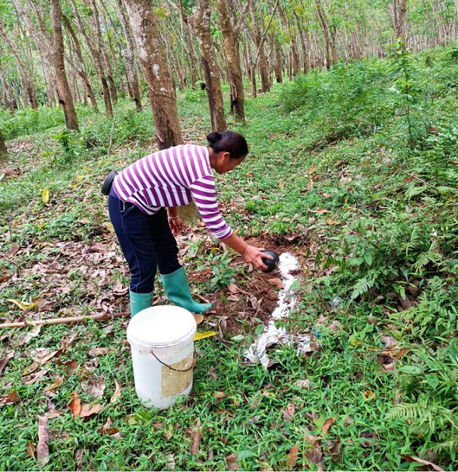 首页- 腾博官网诚信为本,专业服务!