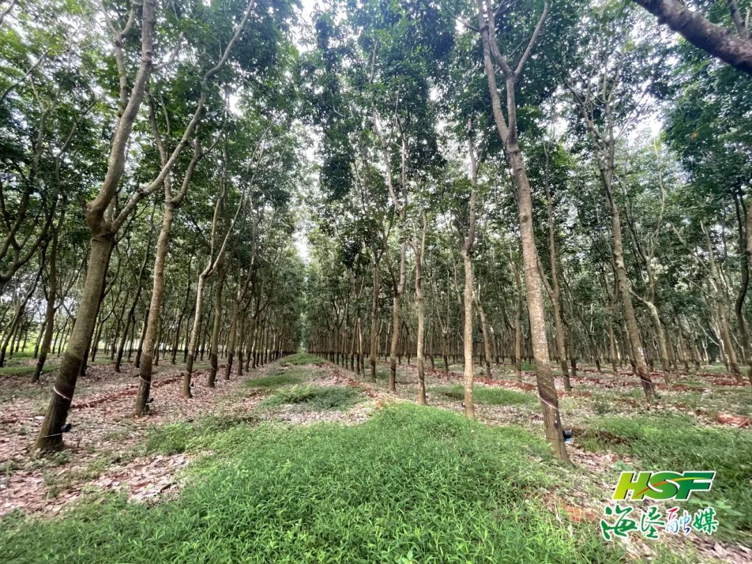 首页- 腾博官网诚信为本,专业服务!