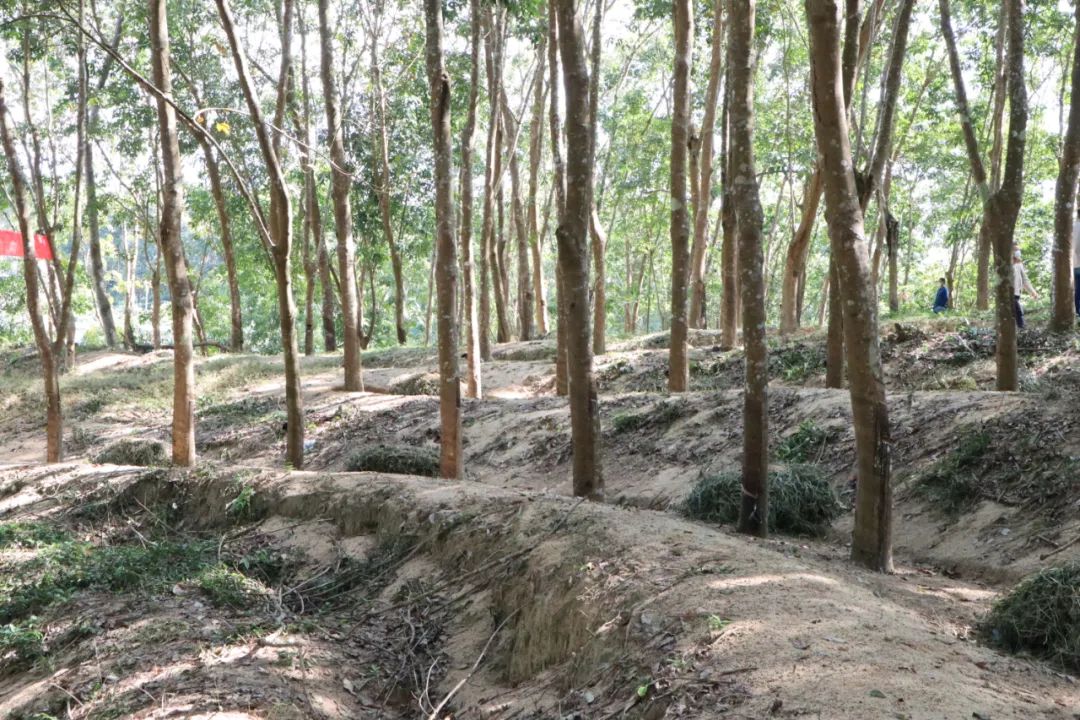 首页- 腾博官网诚信为本,专业服务!