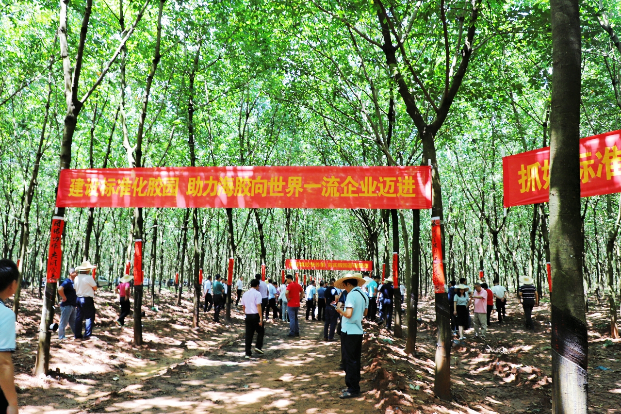 首页- 腾博官网诚信为本,专业服务!